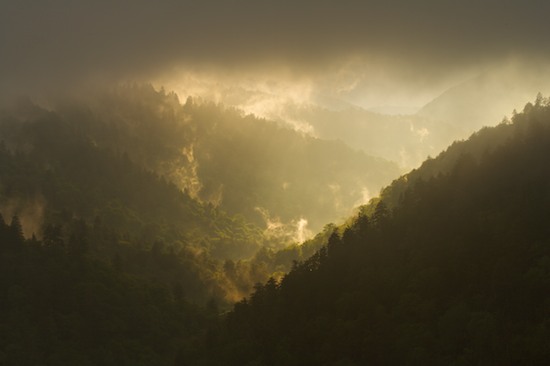 Bark;Beams;Boulder;Cliff;Clouds;Dusk;evening;Fog;Forest;Great Smoky Mountains National Park;High;Illuminate;Leaf;Leaves;Ledge;Light;Luminance;Mist;Mountain;Mountain Top;Natural;Nature;Nightfall;Outdoors;Peak;Plants;Power;Powerful;Precipice;Rays;Rock Formations;Rocks;Scenic View;Scenics;Summit;Sun;Sunbeam;Sundown;Sunlight;Sunset;Tennessee;Trees;Twilight;Vertical;Woodland;Woods