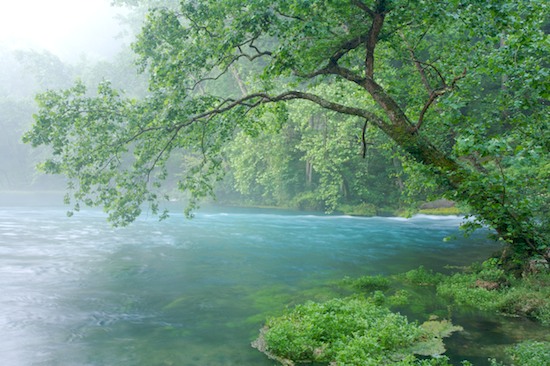 Aqua;Big Spring;Blue;Break of Day;Brook;Creek;Current River;Dawn;Daybreak;First Light;Fog;Foggy;Green;Haze;Missouri;Mist;Misty;Morning;Obscured;Ozark Mountains;River;River Bed;Riverbed;Rivers;Spring;Stream;Sun-up;Teal;Van Buren;water;Water;waterway
