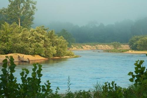 Ozark Mountains;Riverbed;Shoreline;waterway;River Bed;Mist;Green;Water;Missouri;Riverbank;Break of Day;Rivers;Current River;Sun-up;Van Buren;Haze;Stream;Fog;Brook;Blue;First Light;misty;Morning;Obscured;Creek;Daybreak;Foggy;River;Dawn