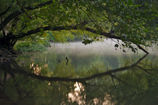 Break of Day;brook;creek;Dawn;Daybreak;First Light;Flowing;Fog;Foggy;Haze;Mist;Misty;Morning;Obscured;Reflection;Reflections;River;Riverbed;Rivers;stream;Sun-up;Sunrise;Water;waterway