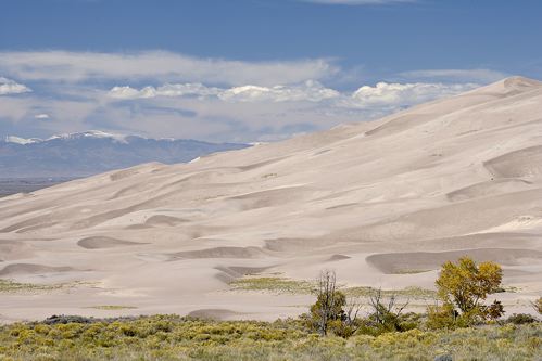 Colorado;Alamosa;Great Sand Dunes National Park and Preserve;Heap;Ridge;Hillock;Mound;Drift;Dune;Sand;Cloud Formation;Weather;Sky;Clouds;Cloud;Plant;Trunk;Bark;Leafy;Branches;Branch;Woodland;Herbaceous;Shrub;Bush;Trees;Tree Trunk