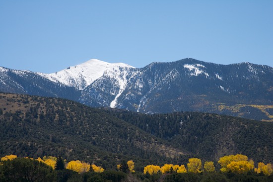 Bark;Branch;Branches;Bush;Foliage;Great Sand Dunes National Park and Preserve;Herbaceous;Leaf;Leafy;Leaves;Mountain;Mountain Top;Mountainous;Mountains;Peak;Pinnacle;Plant;Precipice;Range;Shrub;Summit;Tree Trunk;Trees;Trunk;Vein;Woodland