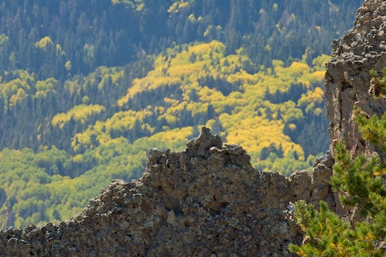 Autumn;Bluff;Cliff;Colorado;Crag;Escarpment;Fall;Forest;Gray;Green;Ledge;Mountain;Mountain Top;Mountainous;Mountains;Peak;Pinnacle;Precipice;Range;Rock Face;Summit;Timber;Timberland;Wolf Creek Pass;Wood;Woodland;Woodlands;Woods;Yellow