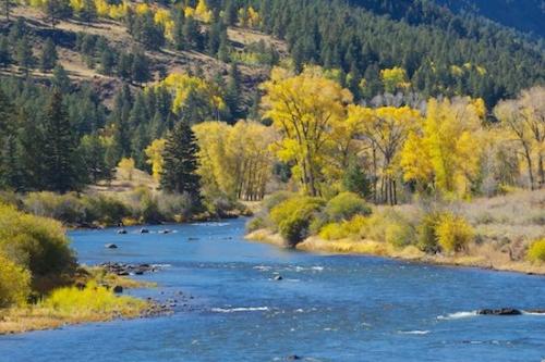 Yellow;flowing;Herbaceous;Trunk;Colorado;bark;River;waterway;Green;Bush;Woodland;Fall;Branch;Shrub;South Fork;Riverbed;Gold;Blue;Autumn;Water;Rivers;Plant;Trees;Branches;creek;Silver Thread Scenic Byway;Tree Trunk;brook;stream;Leafy