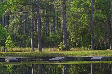 National Wildlife Refuge;Okefenokee;Forest;Swamp;Swamps;Bog;Marsh;Water;Lake;Pond;Body of Water;Wet;Cool;Deep;Clear;Pool;Reservoir