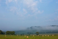 Haze;Yellow;Mist;Brown;Bales;Obscured;Green;Hill;Rolled-Hay;Rolled;Tennessee;Hay