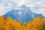 Branch;Branches;Cloud;Cloud-Formation;Clouds;Grand-Teton-Mountains;Grand-Tetons;
