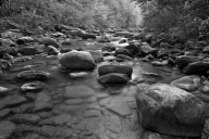 Ataya-Tract;Black-and-White;Boulder;Brook;Chute;Cool;Creek;Cumberland-Mountain;F