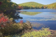 Hill;Lake;Red;Yellow;Lily-Pads;Fall;Blue;Harriman-State-Park;Mountainous;Landsca