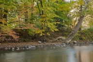Brook;Creek;Forest;Green;New-Jersey;Ramapo-Reservation;Ramapo-River;River;River-