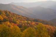 Autumn;Bark;Beams;Branch;Branches;Bush;Caryville;Cumberland-Mountains;Daylight;F