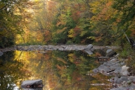 Autumn;Bark;Branch;Branches;Brook;Chattahoochee-National-Forest;Conasauga-River;