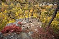 Striation;Stone;Rock;Boulder;Geology;Geological;Rock-formations;Rocks;Plant;Trun