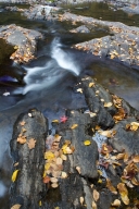 Autumn;Bark;Boulder;Branch;Branches;Brown;Chattahoochee-National-Forest;Conasaug