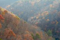 Alabama;Autumn;Bluff;Break-of-Day;Cliff;Crag;Dawn;Daybreak;Escarpment;Fall;First