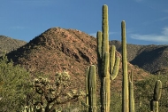 Arizona;Desert