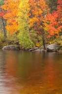 Autumn;Boulder;Boulders;Creek;Fall;Flow;Forest;Forested;Gold;Habitat;Jericho-Lak