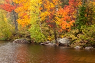 Autumn;Boulder;Boulders;Branches;Calm;Fall;Forest;Forested;Gold;Habitat;Horizont