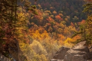 Autumn;Boulder;Boulders;Branches;Brown;Calm;Fall;Fog;Forest;Forested;Geological;