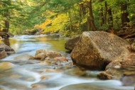 Boulder;Boulders;Brown;Cascade;Creek;Flow;Forest;Forested;Gold;Green;New-England