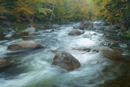 Landscape;Green;Tan;White-Mountains;water;Rocky;Rapids;Autumn;Gray;Trees;Creek;S