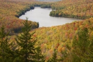 Woods;Hill;Forest;Orange;trees;Mountain;Autumn;Foliage;Woodlands;Hilltop;Lake;Hi
