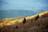 Valley;Yellow;Mountain-Top;Brown;Forest;Peak;Cherokee-National-Forest;Roan-Mount