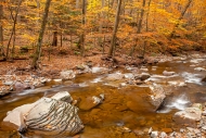 Autumn;Boulder;Boulders;Branches;Brown;Calm;Cascade;Cascading;Chute;Creek;Fall;F
