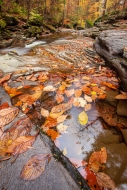 Autumn;Boulder;Boulders;Branches;Brown;Calm;Cascade;Chute;Creek;Fall;Fallen-Leav
