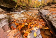 Autumn;Boulder;Boulders;Branches;Brown;Calm;Cascade;Chute;Creek;Fall;Fallen-Leav