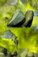 Stream;river;Rock;reflection;Foliage;Mirror;lake;Leaf;Rocks;Stones;Green;reflect