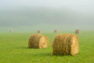 Agricultural;Agriculture;Bale;Farm;Field;Fields;Grass;Green;Hay;Hay-Bales;Mist;O