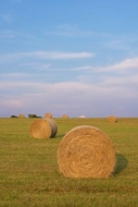 Hay-Bale;Green;Tan;Cloud-Formation;Farm;Agricultural;Pastureland;Field;Sky;Field