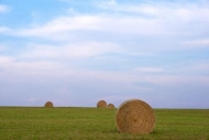 Pastureland;Clouds;Fields;Tan;Hay-Bale;Blue;Field;Green;Hay;Sky;Agricultural;Agr