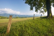 Pasture;Hillside;trunk;Clouds;Hills;Green;Great-Smoky-Mountains-National-Park;Mo