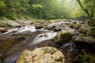 Stream;Rapids;Rocks;Boulder;tree;river;Stone;trees;Stones;Cascading;Streaming;Po