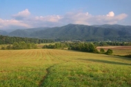 Field;Hillside;Tan;Mountainside;Brown;Clouds;Valley;Green;Cades-Cove;Hillock;Gre