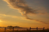 foggy;fence-row;Peaceful;Pasture;haze;Yellow;Cloud-Formation;misty;Oneness;Brown
