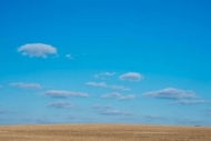 Blue;Blue-Sky;Clouds;Field;Gold;Grass;Horizon;Sky;Tan;pasture