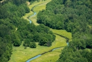 Blue;Forest;Forested;Green;Oregon;River;Tree;Trees;Wood;Woods;bend;river-bank