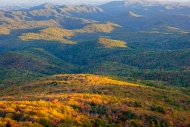 Autumn;Blue;Blue-Ridge-Parkway;Bluff;Brown;Calm;Fall;Forest;Forested;Gold;Healin