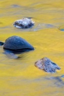 Abstract;Abstraction;Autumn;Blue;Boulder;Boulders;Gold;Great-Smoky-Mountains;Gre