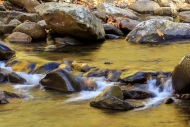 Autumn;Boulder;Boulders;Brown;Calm;Cascade;Chute;Creek;Fall;Falls;Flow;Gold;Grea