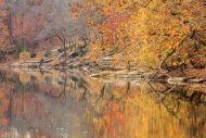 Autumn;Boulder;Branches;Columbia;Duck-River;Fall;Flow;Healing;Health-care;Health