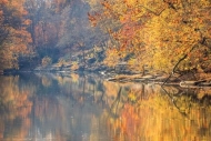 Autumn;Boulder;Branches;Columbia;Duck-River;Fall;Flow;Healing;Health-care;Health
