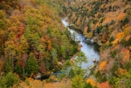 Autumn;Blue;Boulder;Boulders;Brown;Calm;Cascade;Creek;Fall;Flow;Forest;Forested;