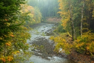Autumn;Boulder;Boulders;Branches;Brown;Calm;Creek;Fall;Flow;Forest;Forested;Geol