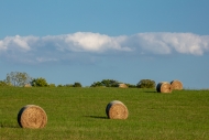 Agricultural;Agriculture;Bale;Blue;Brown;Calm;Cloud-Formation;Clouds;Farm;Farmin