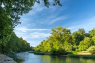 Biophilic;Calm;Concepts;Environment;Forest;Healing;Health-care;Healthcare;Horizo