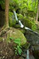 Waterfall;Stream;Spray;Cascade;Flow;Great-Smoky-Mountains-National-Park;flowing;